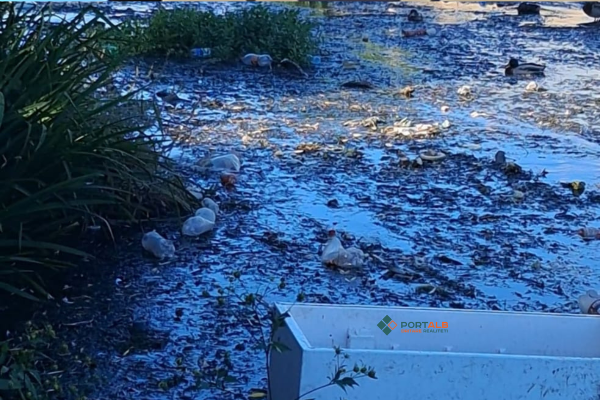 Edhe pse Dimitrievski gjatë fushatës zgjedhore u lavdërua për pastrim, lumi i Kumanovës po mbytet në mbeturina
